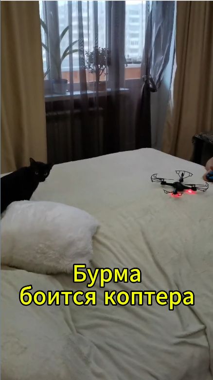 Бурма боится коптера))