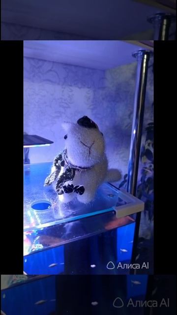 Вязаные капибары❤️ #вязанаякапибара #вязание #рукоделие #капибара