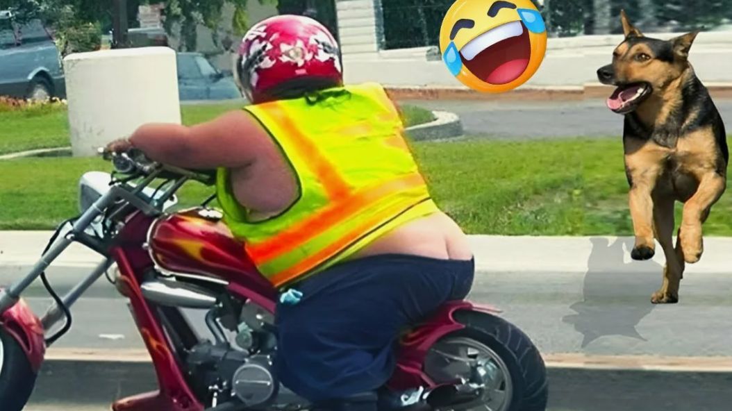 Прикольные моменты из Жизни Людей смотреть онлайн