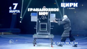 #Цирк Филатовых #Нашествие медведей #Тюмень #Цирк Филатовых в Тюменском цирке