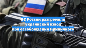 ВС России разгромили украинский взвод при освобождении Криничного