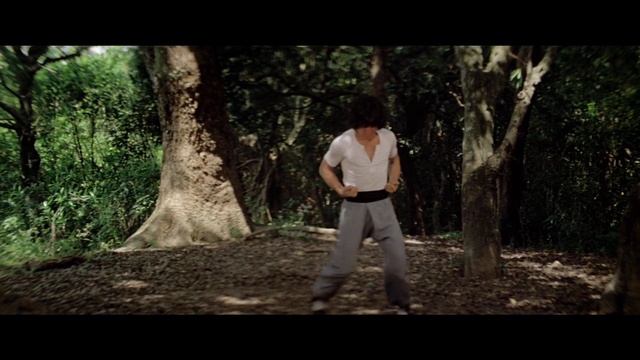 Пьяный Мастер: Фэйхун против Соу Хая