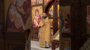 Проповедь отца Павла на Поздней Литургии в неделю 29-ю по Пятидесятнице 28.12.2025г.