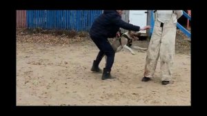 Игорь Алтайский мастер класс в Можге 2019 г.