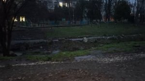 Видосики 🎥 за три дня