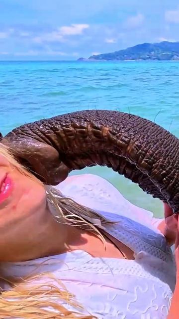Мою слона в море, а он поцеловал в ответ🐘🌊