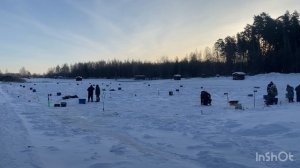 Запускаем форель