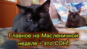 ГЛАВНОЕ на Масленичной неделе это - СОН!
