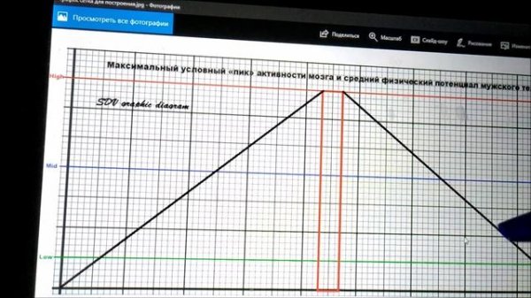 SDV Модель «векторной матрицы» SDV vector matrix (model diagram graphic)