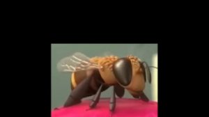 Специальная серия Масленица