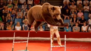 ЖИЗНЬ БУРОГО МЕДВЕДЯ