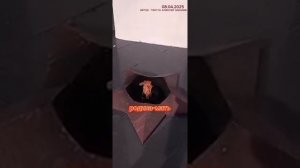 Песня Родина-Мать. Автор текста — Алексей Мамаев.