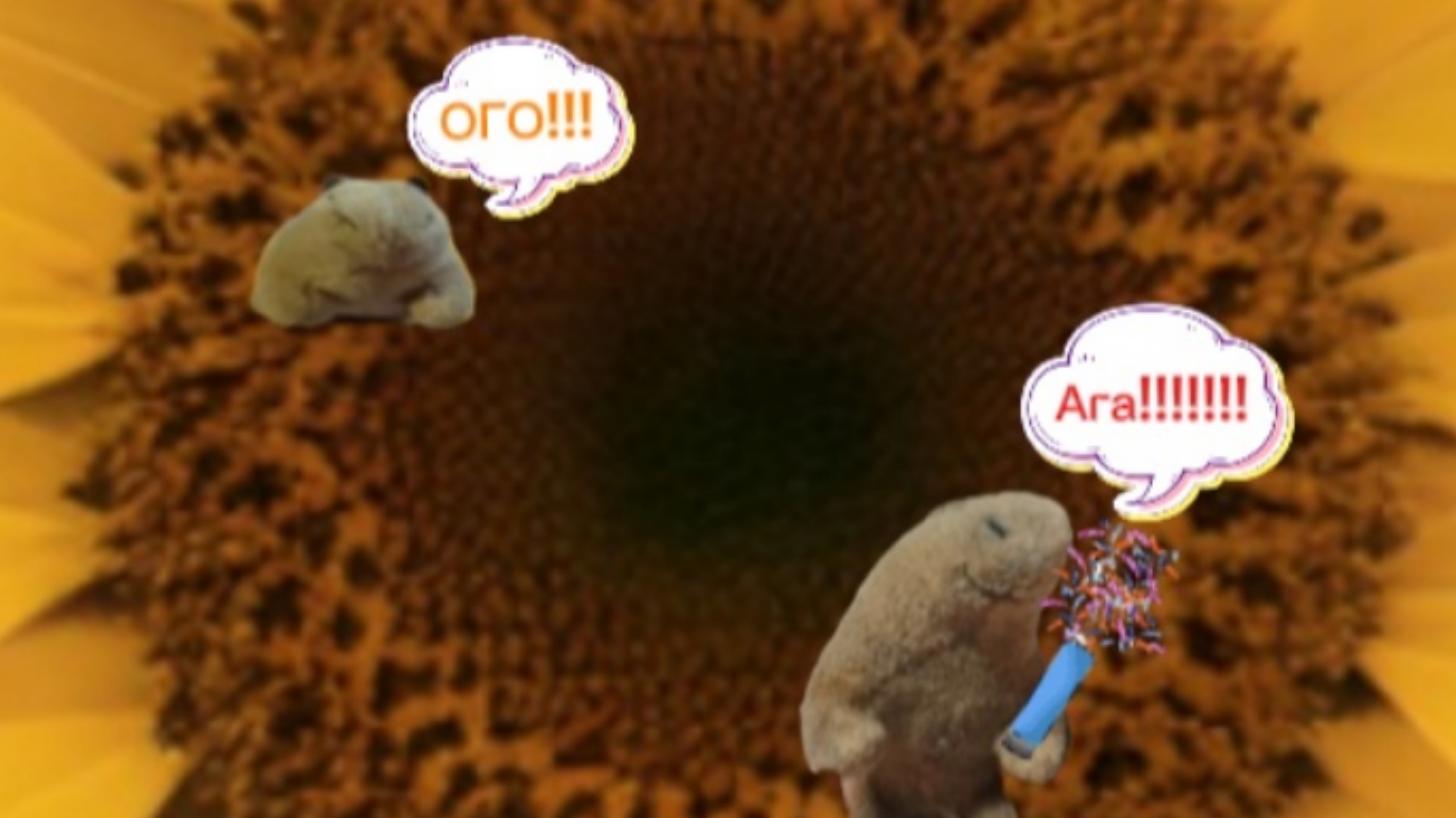 Подсолнух Гоши