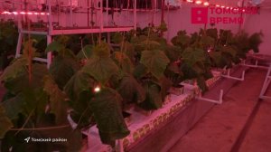 В регионе стартовал новый проект по развитию агротуризма