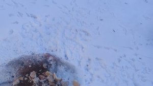 17 февраля погода от волшебника