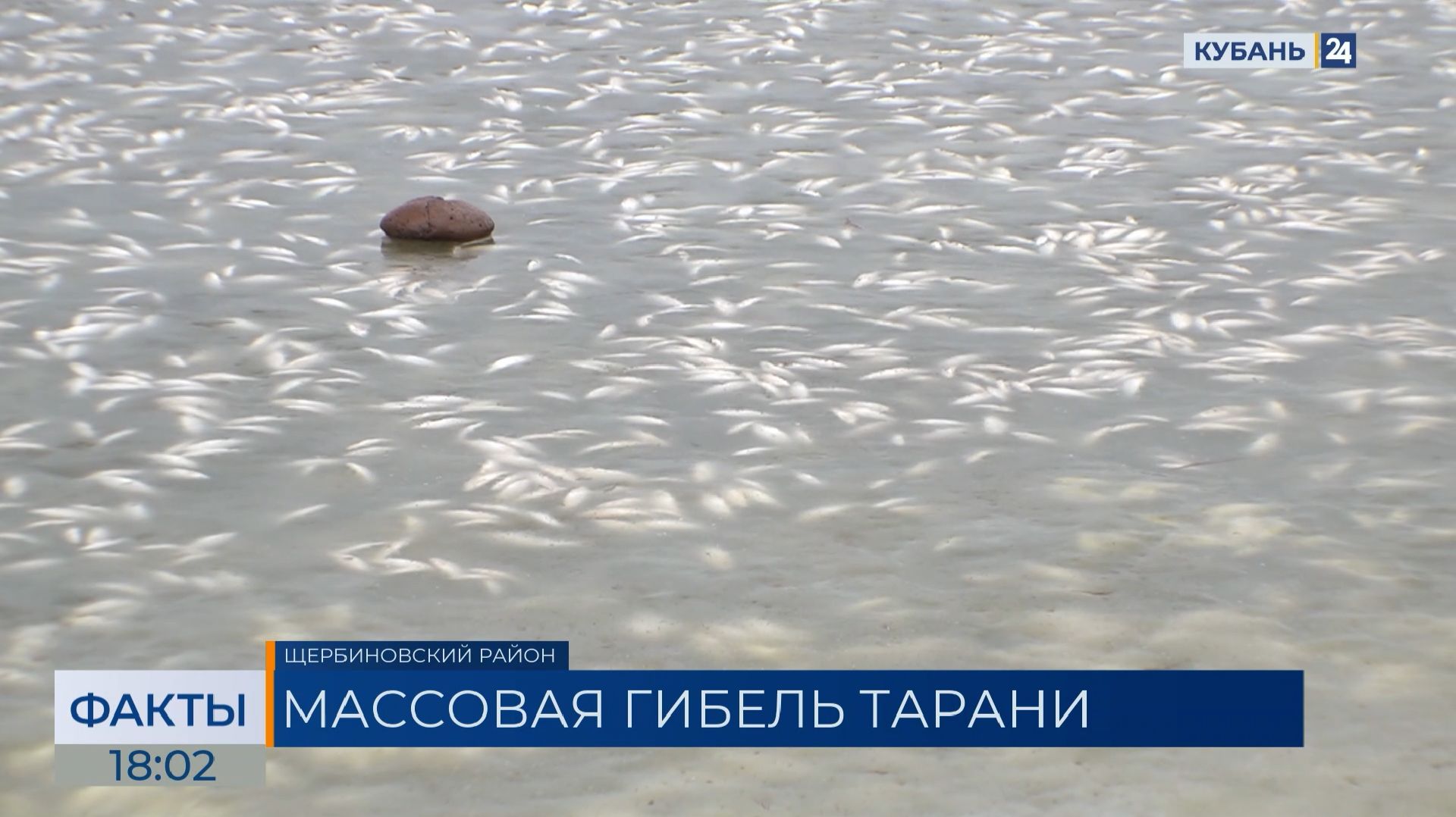 ФАКТЫ. Выпуск от 18.02.26