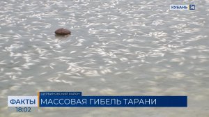 ФАКТЫ. Выпуск от 18.02.26