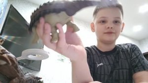 Обзор анкилозавра Jurassic World Mattel