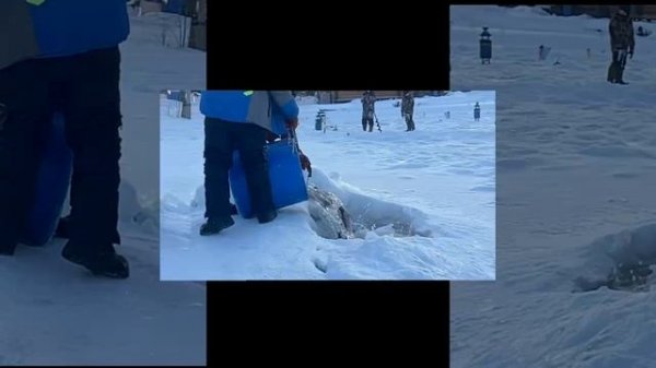 Запуск форели