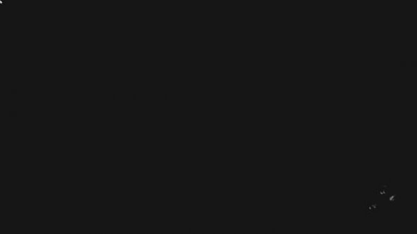 Monster Hunter Stories 3: Twisted Reflection #1 Ролевая игра