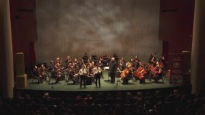 Концерт в ММДМ 04.02.2026 Карл Стамиц Концерт для двух кларнетов с оркестром