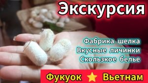 Фабрика шелка. Съесть личинку. Скользкое белье. Экскурсии Фукуок. Вьетнам. Азия. Отпуск зимой.