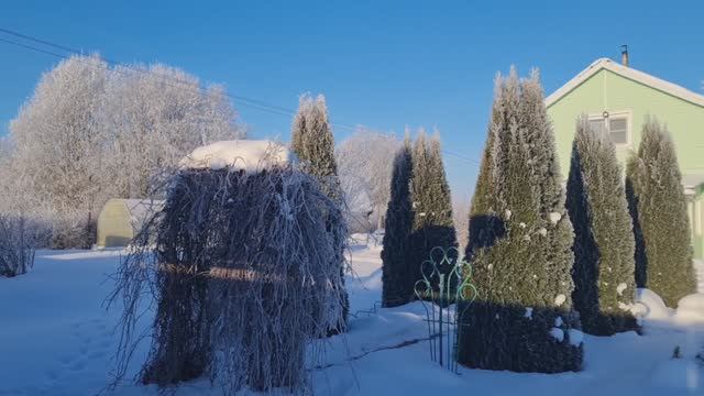 Зимняя дача,что удивило!❄️ Угостили вкусняшкой.🧇Ленинградская область 18.02.26г. смотреть онлайн