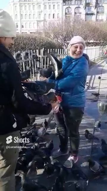 Встреча с голубями.