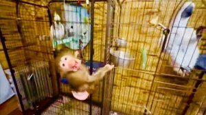 Маня добралась до Киры и стала ее ГРАБИТЬ,, а Степка продолжает ПИОНЕРИТЬ еду у Жорика)))