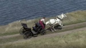 Любимый мой, лети как вольный ветер