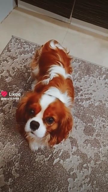 76.mp4 смотреть онлайн