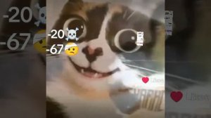 красота 😍 -21