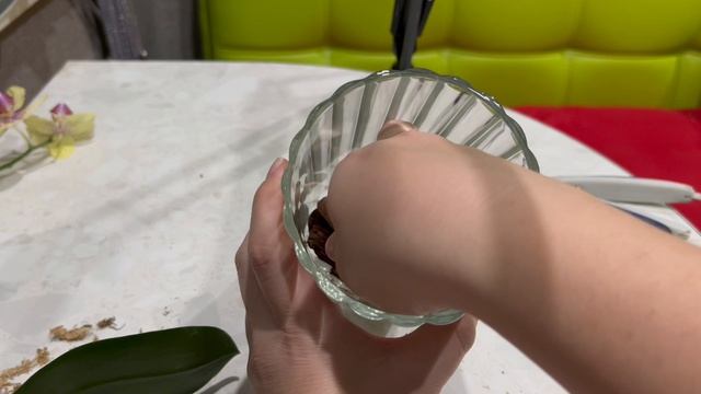 Пересадка красивой орхидеи в красивую стеклянную вазу! смотреть онлайн