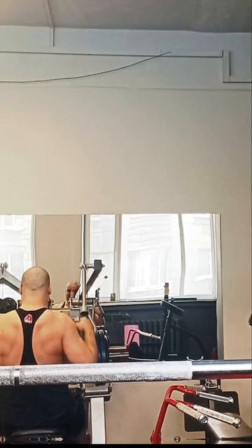 Спина трицепс | Alexey Gusar