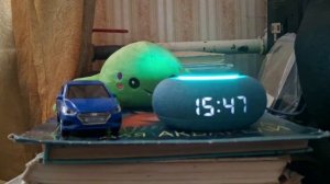 Марусины факты. Про палочника