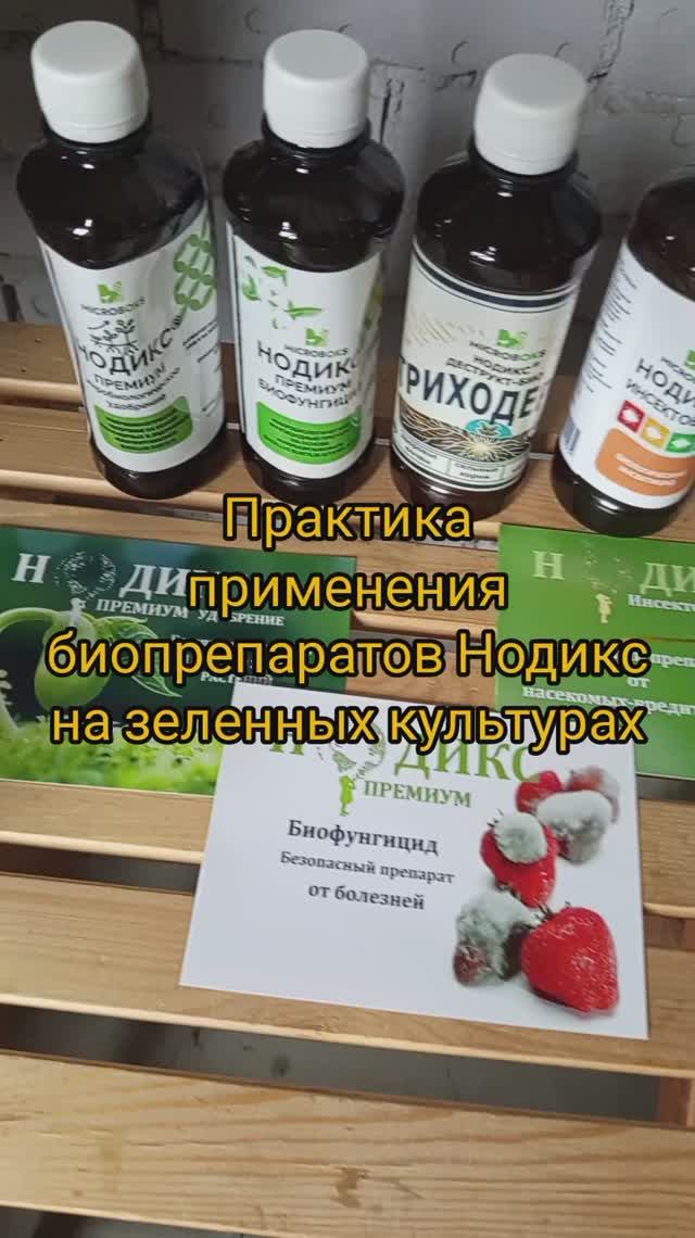 Практика Нодикс на рукколе смотреть онлайн