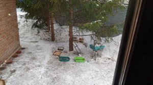 заходи угощайся