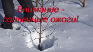 Мороз и солнце - солнечные ожоги