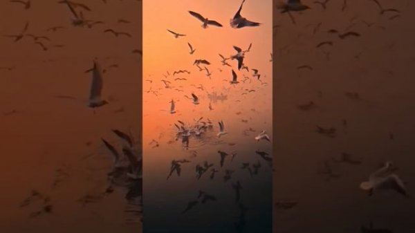 Don't say a word words