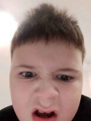 жук носорог дomа