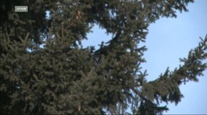 Зима в Иркутске постепенно сдает позиции