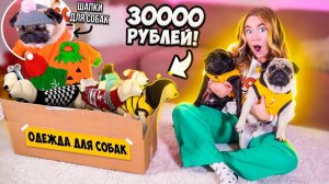 Угги и Шапки Для Мопсов🤣 ЗАКУПИЛАСЬ ОДЕЖДОЙ для СОБАК на 30000 руб! Распаковка и примерка !