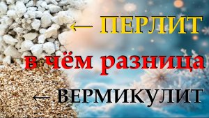 Перлит и вермикулит. В чем различие и что лучше