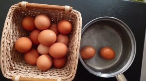 Супер Вода для полива рассады. Мощные корни и Толстая и крепкая рассада!