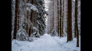 Песня  ВРЕМЯ БЕЛЫХ ОДЕЖД