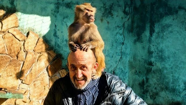 «ПРОГУЛКА АЛЕКСАГИНЫХ» - это просто смех, смотрим, как это было! смотреть онлайн