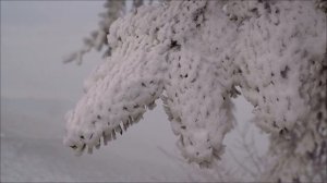 Секрет 18 февраля - Один шаг к удаче.