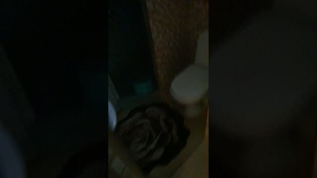 20260130_152200.mp4 смотреть онлайн