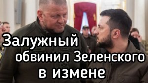 Залужный обвинил Зеленского в измене и срыве контрНАСТУПа ВСУ
