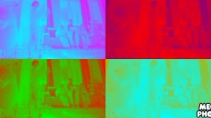 сиалор цветение